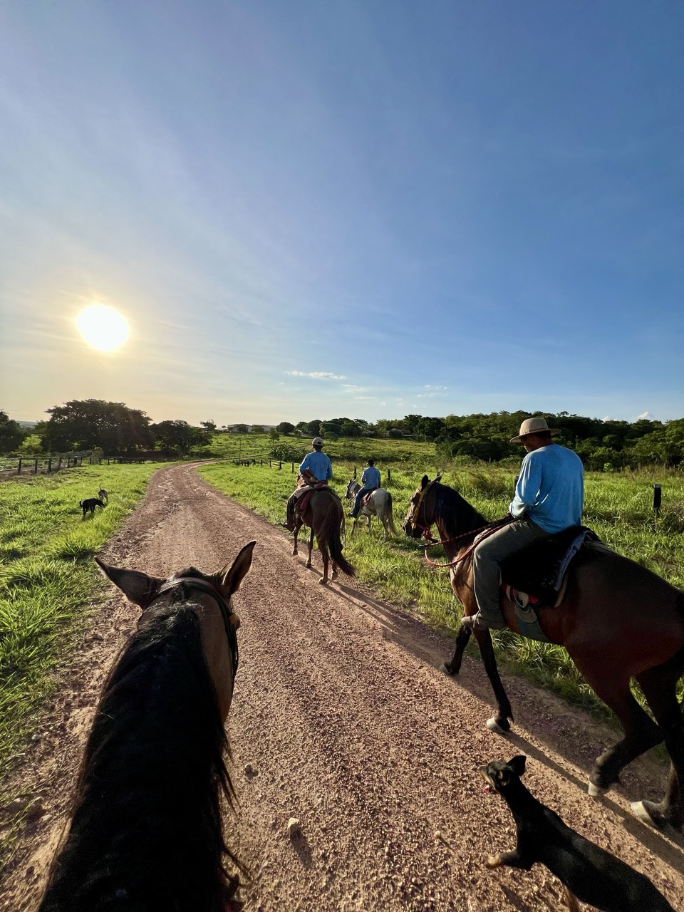 IMG_2139 2 Grande.jpeg