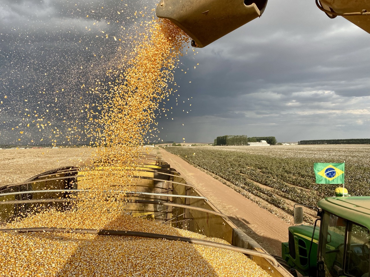 IMG_3160 2 Grande.jpeg