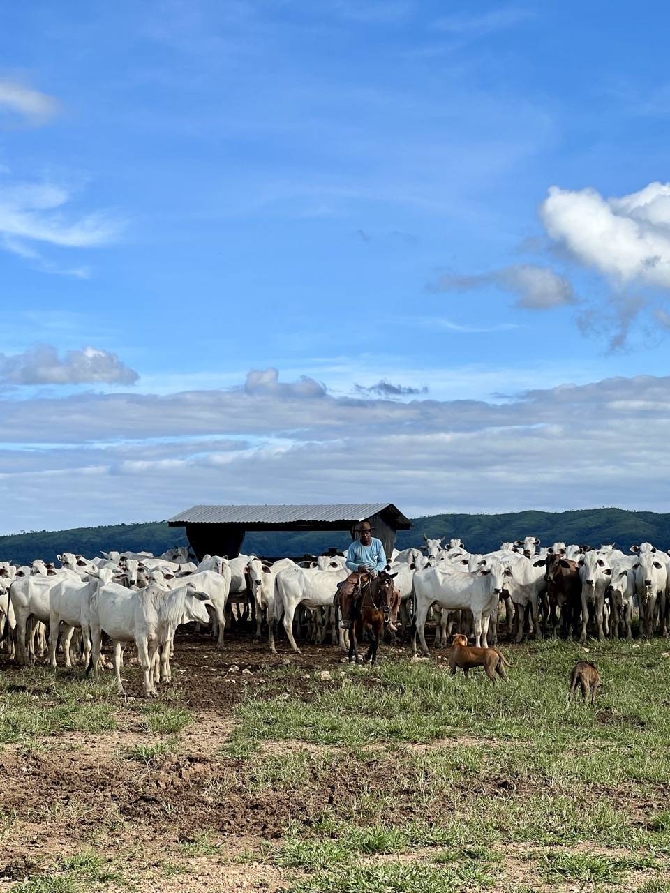 IMG_6216 2 Grande.jpeg