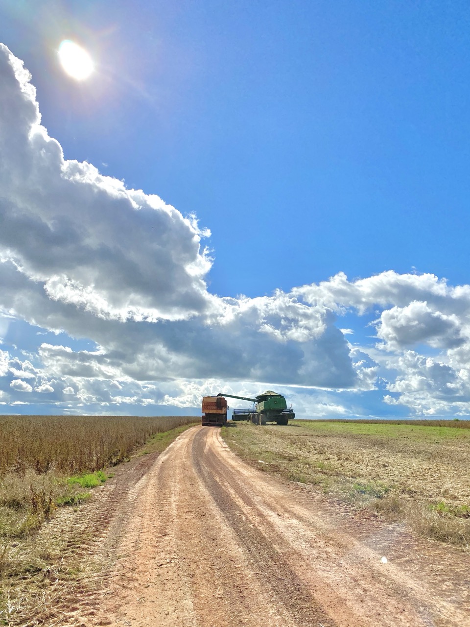 IMG_0893 2 Grande.jpeg