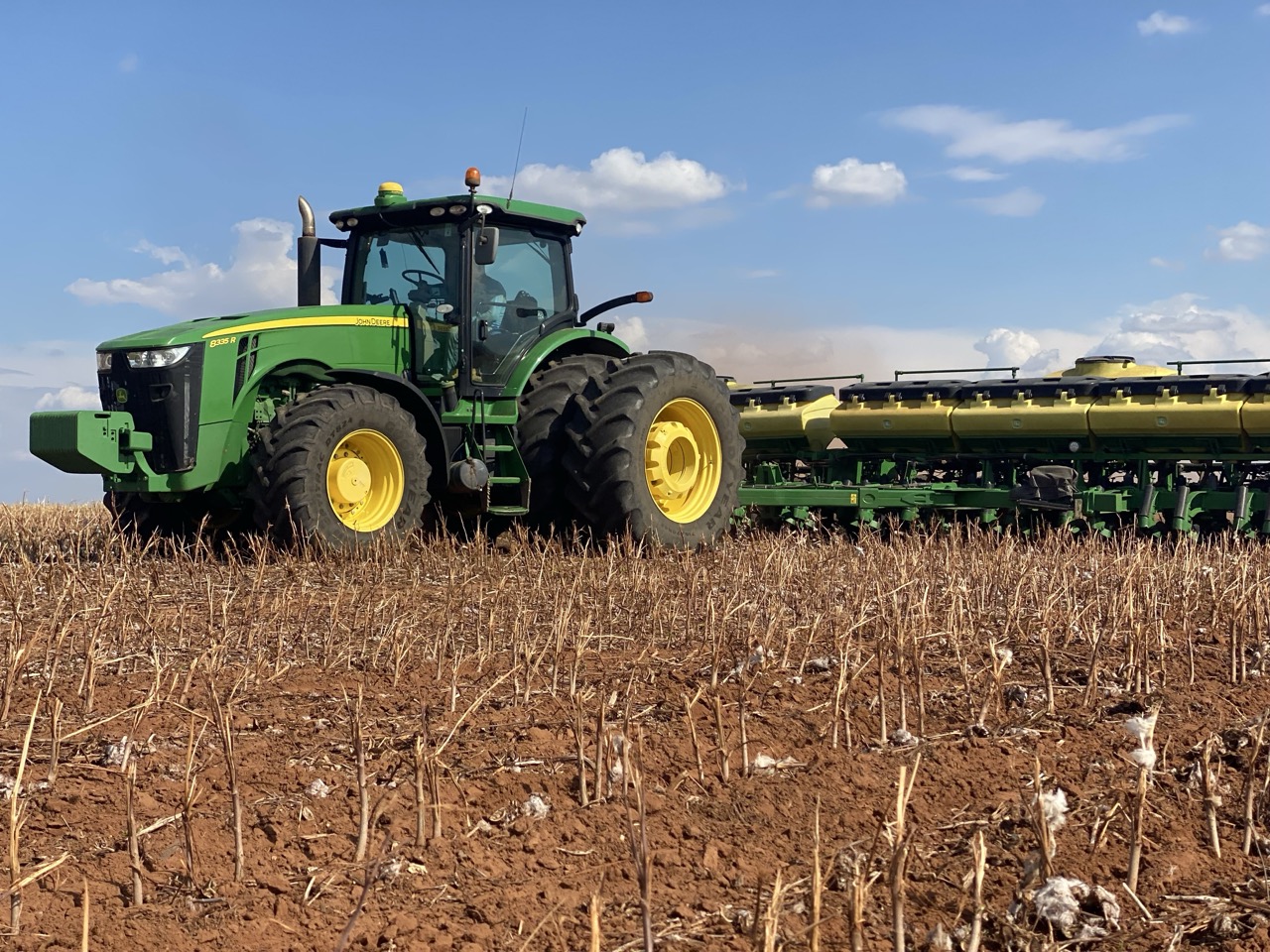 IMG_4809 2 Grande.jpeg