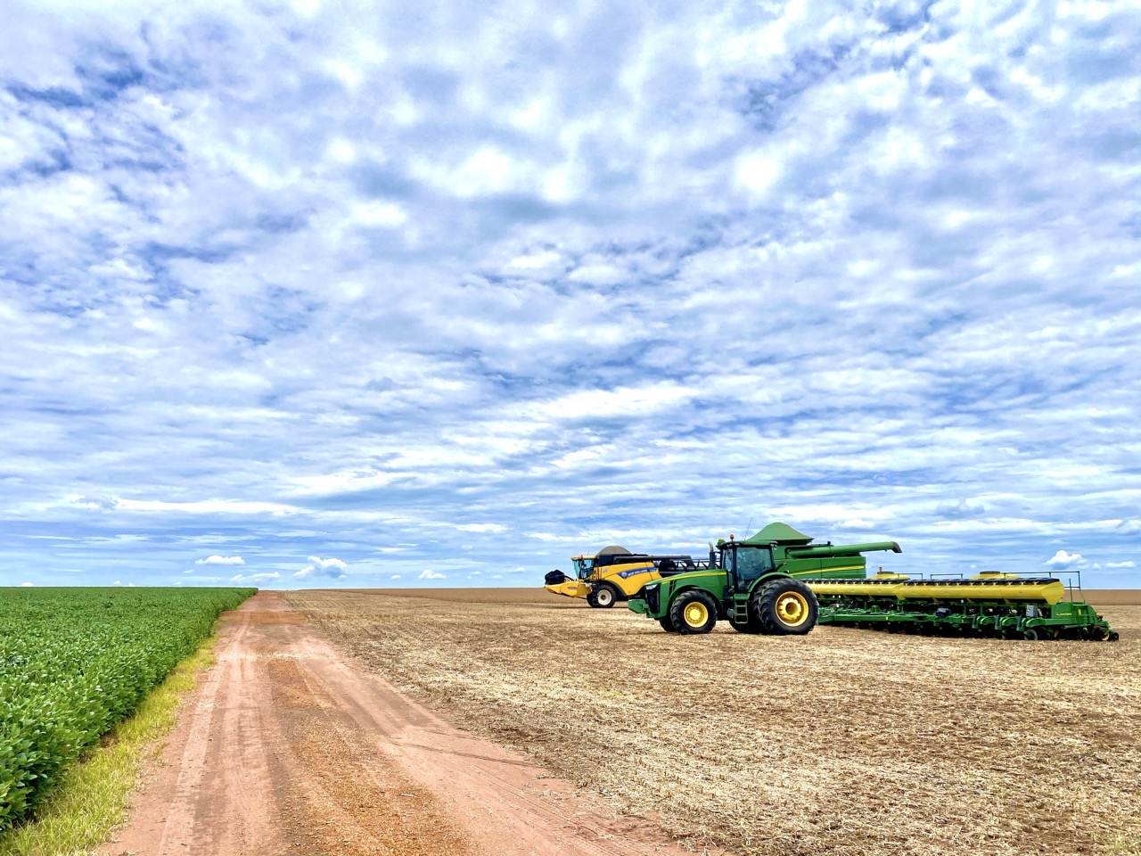 IMG_9882 2 Grande.jpeg