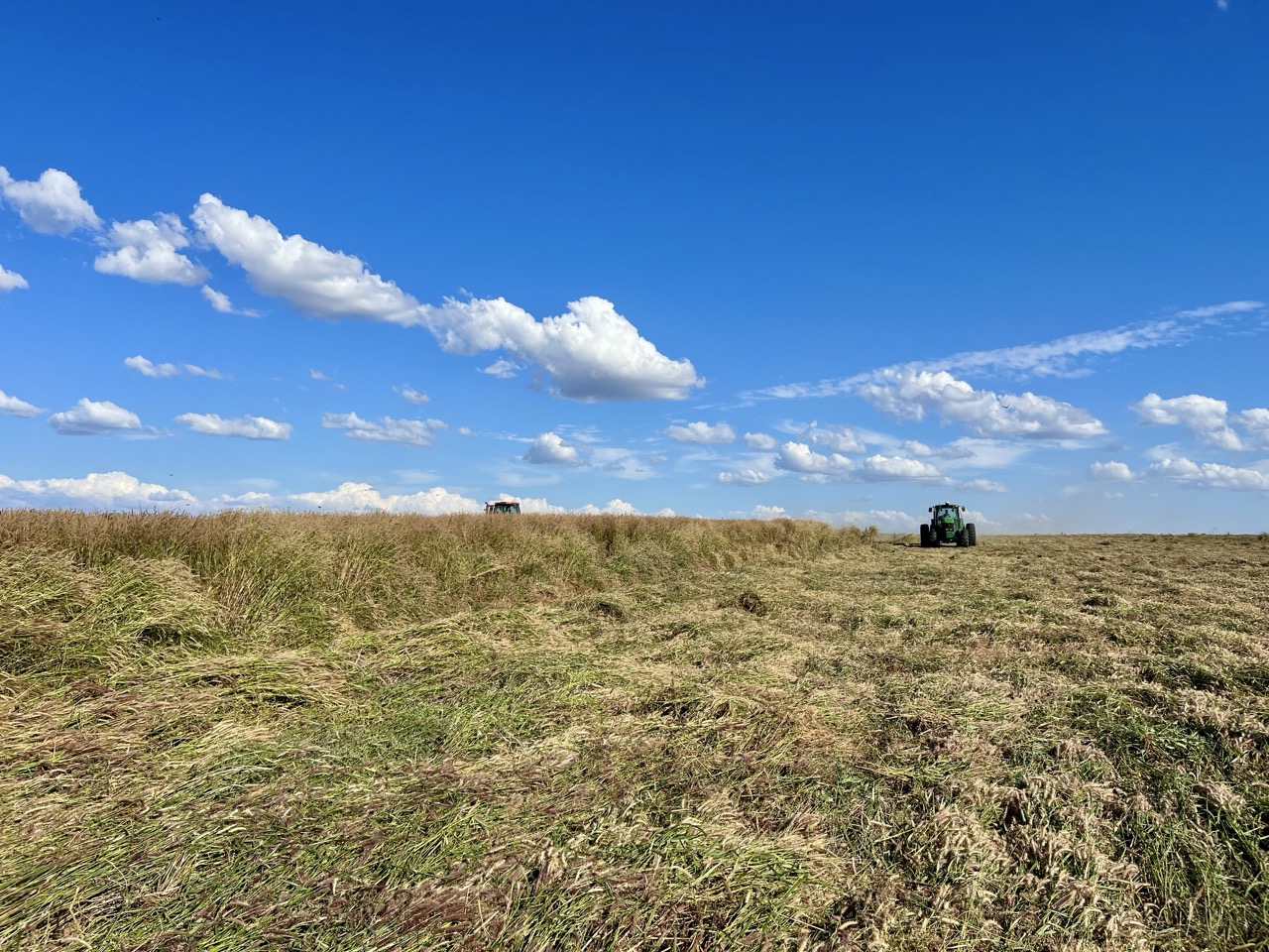 IMG_8243 2 Grande.jpeg