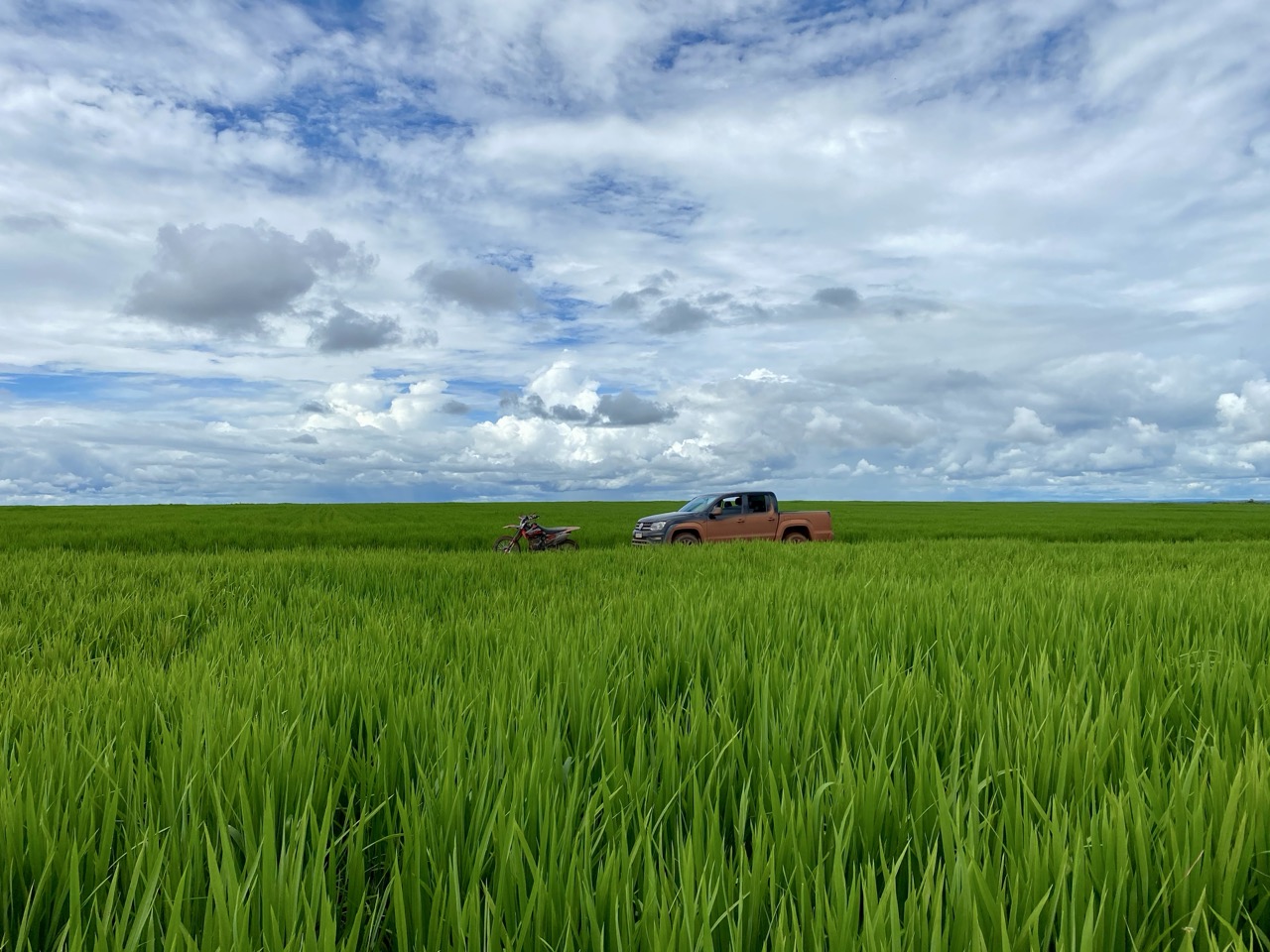 IMG_0443 Grande.jpeg