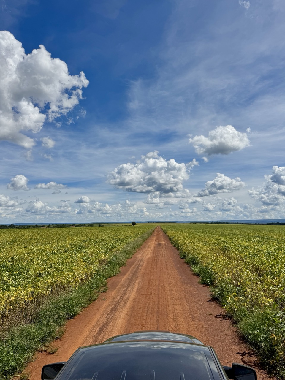 IMG_7052 2 Grande.jpeg