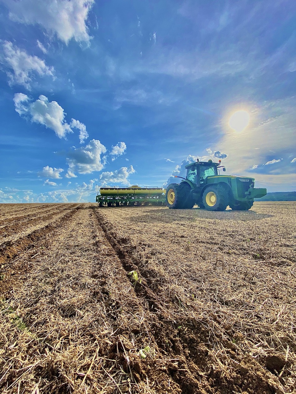 IMG_6568 2 Grande.jpeg