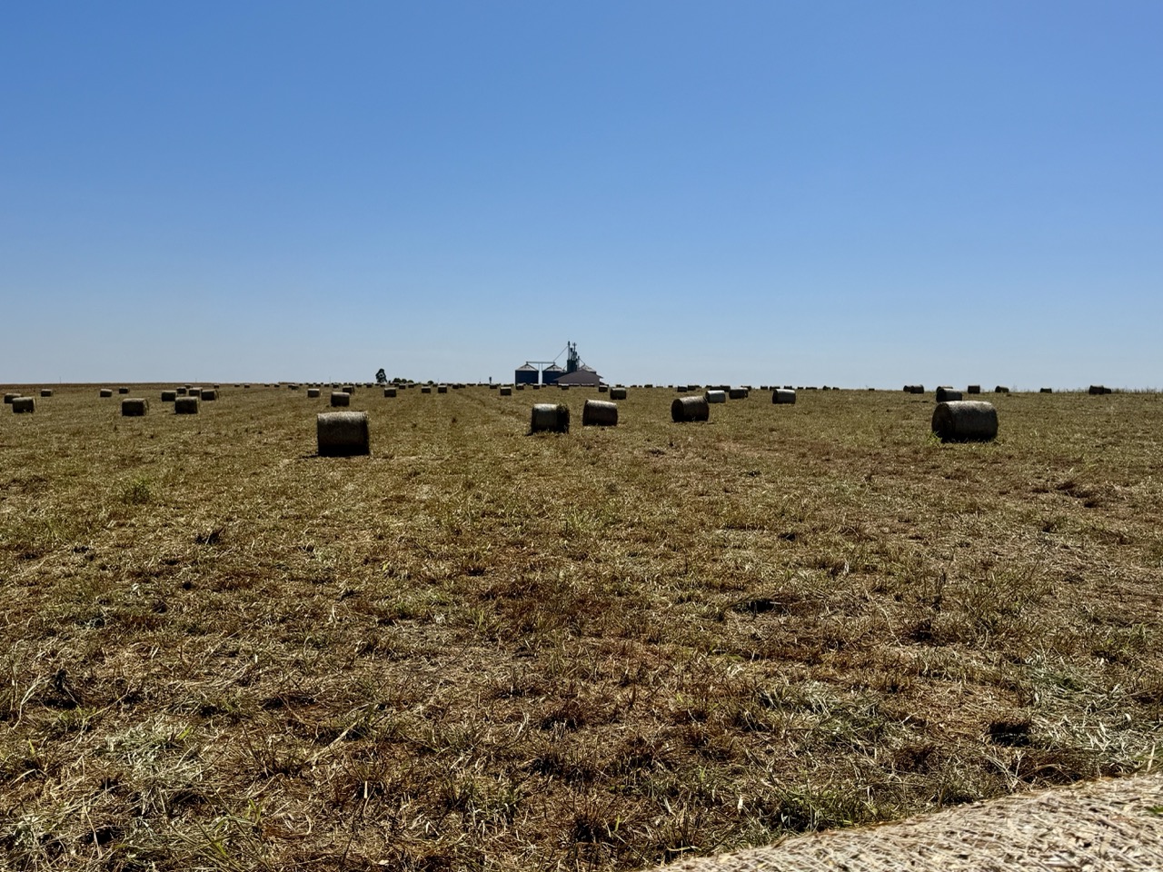 IMG_4146copia 2 Grande.jpeg