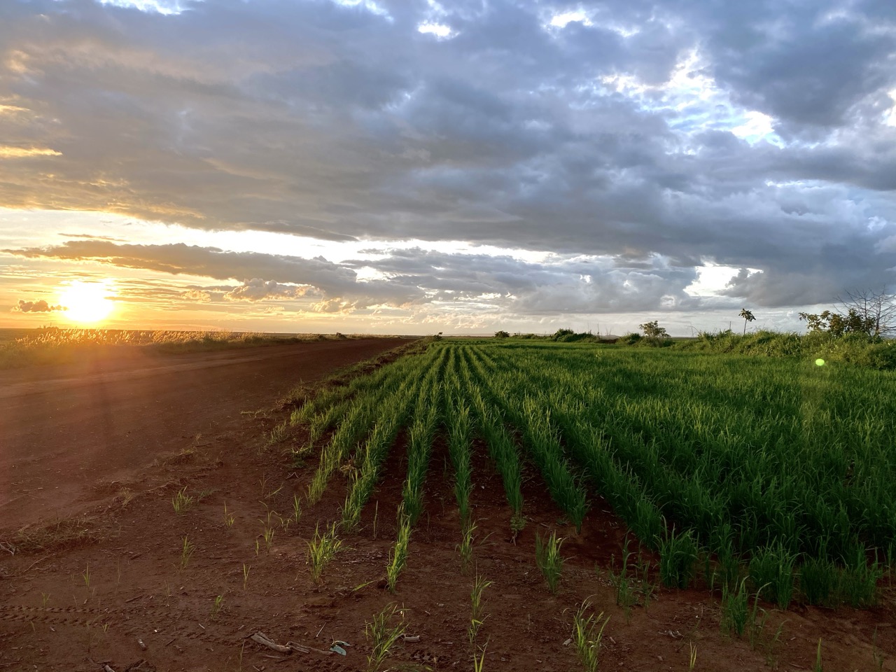 IMG_0015 2 Grande.jpeg