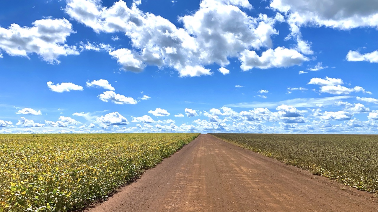 F85A5261-3446-4B11-ABFC-1494A168DE91 Grande 2.jpeg