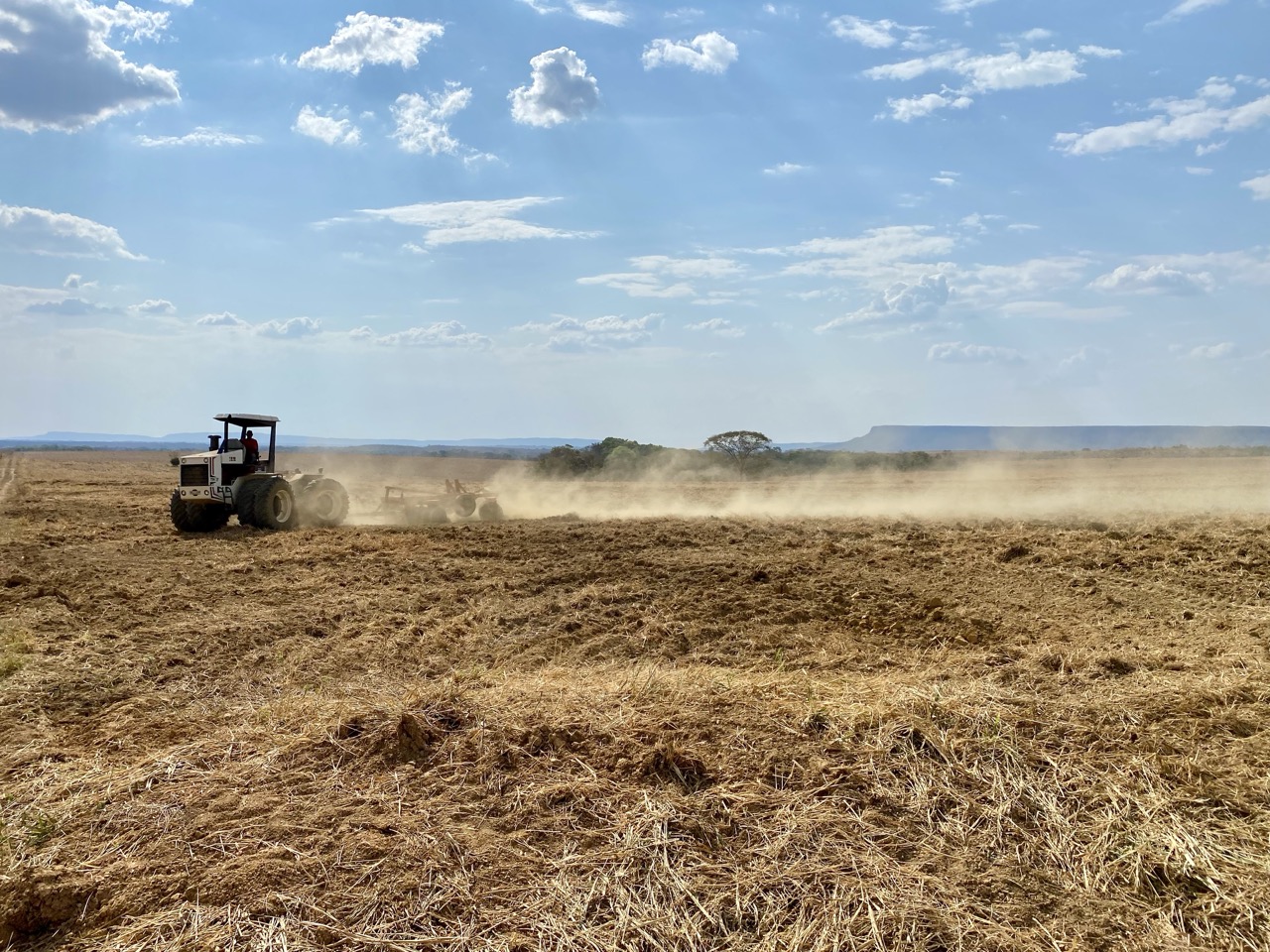 IMG_3988 2 Grande.jpeg