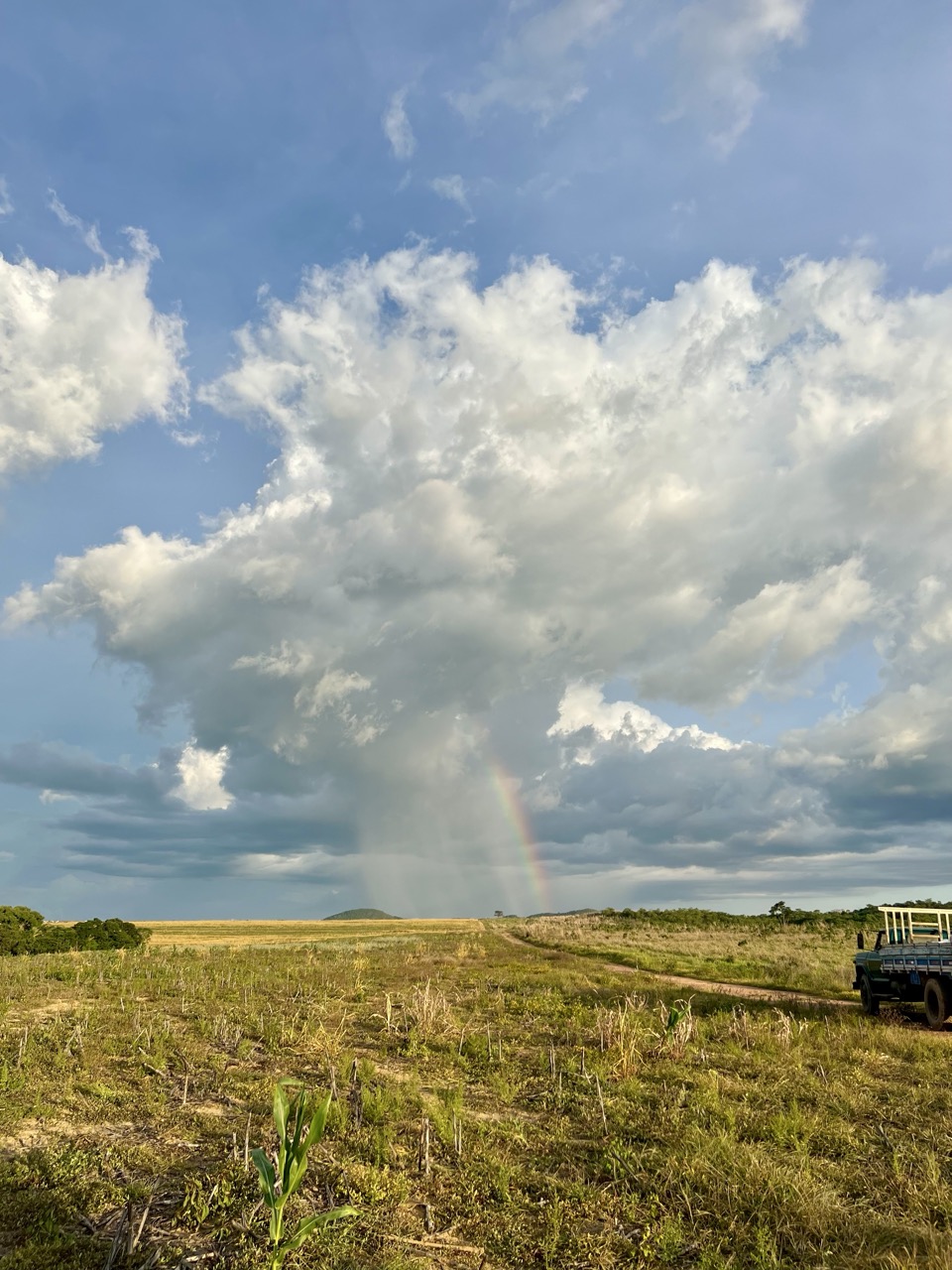 IMG_4635 2 Grande.jpeg