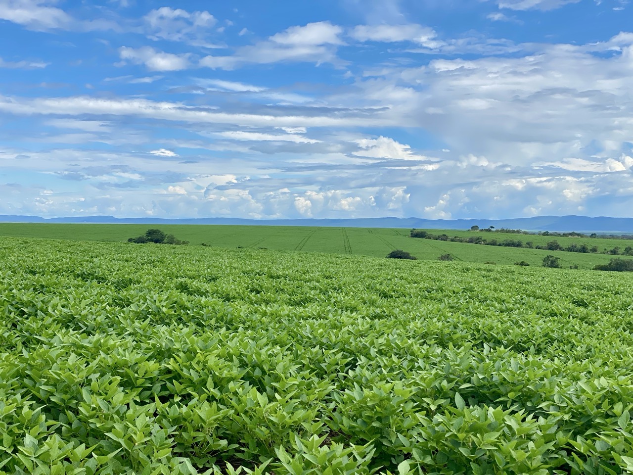 IMG_6304 2 2 Grande.jpeg